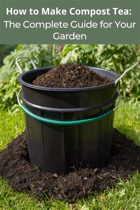 Image result for Making Compost Tea