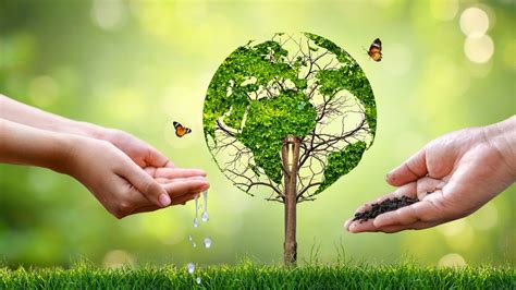 Image result for Conservation Planner Job Description