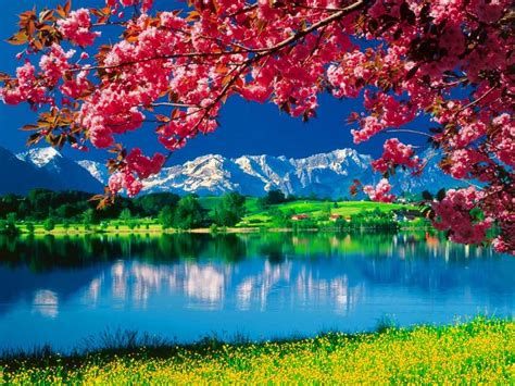 Afbeeldingsresultaten voor Free Nature Desktop Download