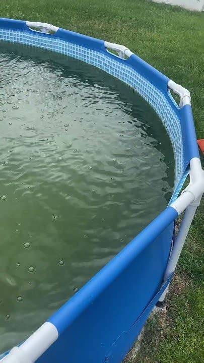 Afbeeldingsresultaten voor How to Clean a Dirty Above Ground Pool