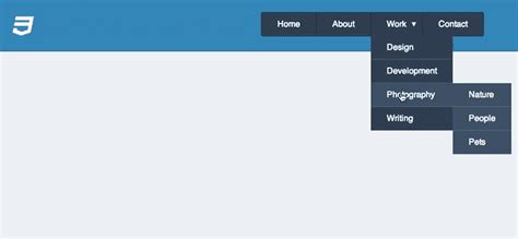 Toradh íomhá ar Website Programer Drop Down Menu Design