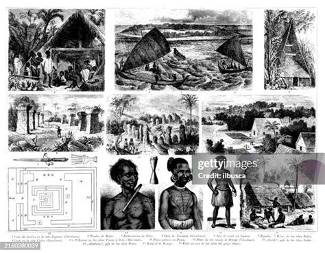 Image result for Native Language in Tonga