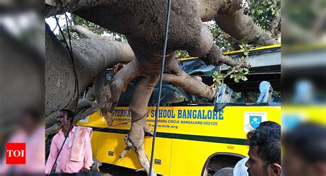 Guy with Tree in Bus に対する画像結果