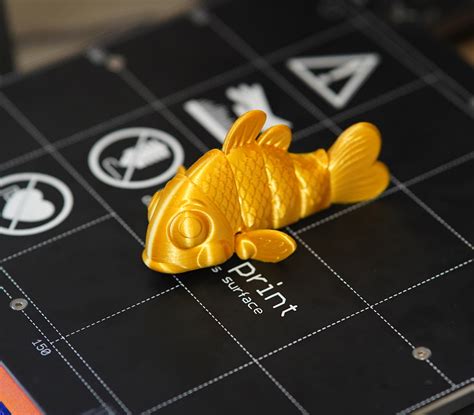 Image result for 3D Printed Petg Fish