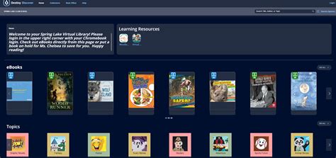 Image result for Spring Lake Library