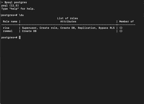 Image result for PostgreSQL Terminal