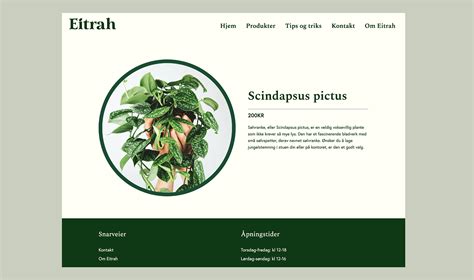Image result for HTML CSS Project Video Download