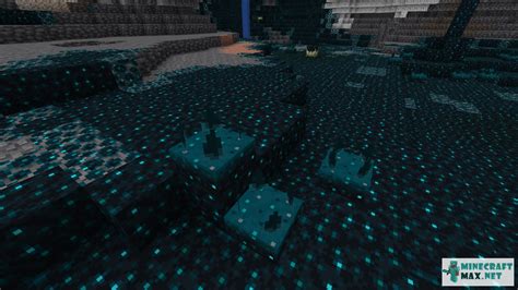 Toradh íomhá ar Minecraft Skulk Sensor