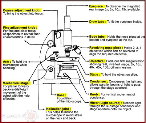 Toradh íomhá ar Compound Microscope Meaning