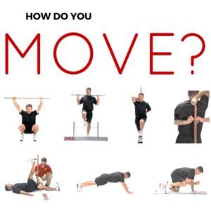 Image result for Functional Movement Screen Corrective Exercises