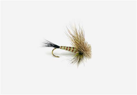 Image result for Green Drake Emerger Fly