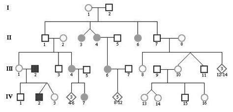 Image result for Types of Pedigree Inheritance