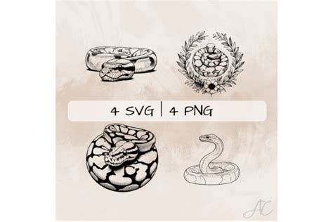 Toradh íomhá ar Ball Python Outline Design