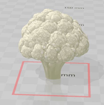 Toradh íomhá ar Cauliflower 3D Model