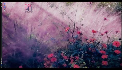 Image result for Most Beautiful Linux Desktop