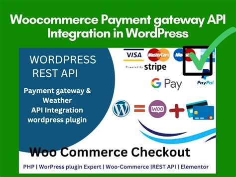 Image result for Payment Gateway API for Project