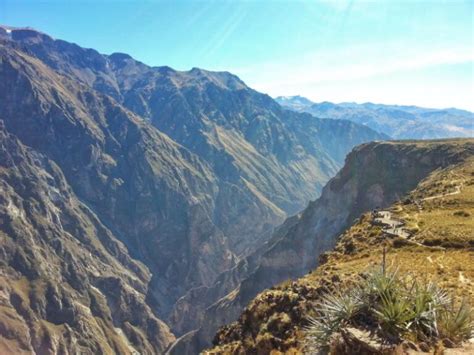 Toradh íomhá ar Peru Backpack