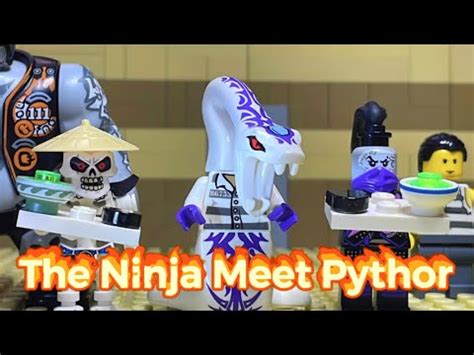 Image result for Python LEGO Ninjago Crystalized