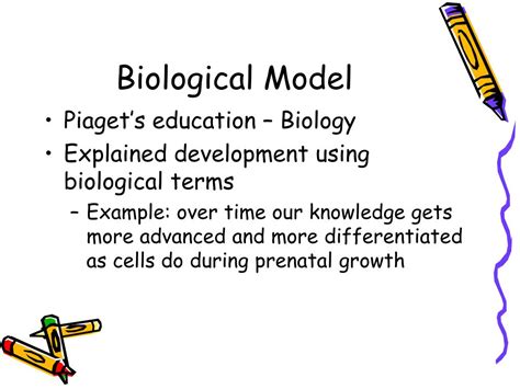 Image result for Biological Development of a Child Example