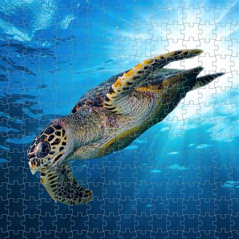 Toradh íomhá ar Puzzle Theme for the Parents