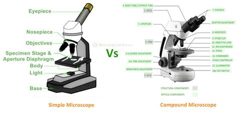 Toradh íomhá ar Compound Microscope Meaning