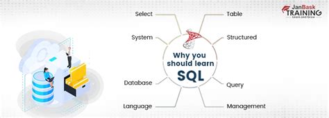 Image result for Why Learn SQL as a First Language