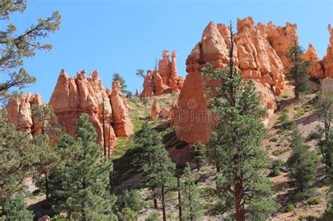 Toradh íomhá ar Navaho Loop String