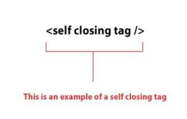 Image result for Coding Closing Tag SVG