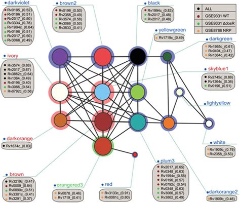 Image result for Gene Module