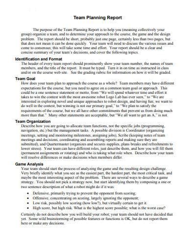 Image result for Team Overview Report Example