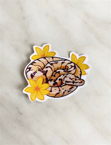 Ball Python Face Sticker に対する画像結果