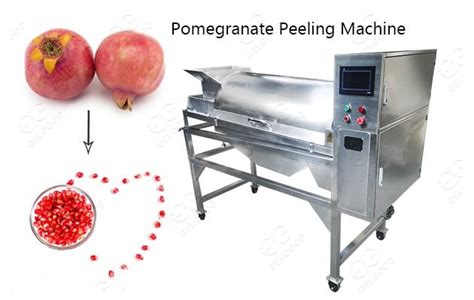 Image result for Sorting Pomegranate Machine
