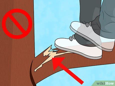 Image result for Easiest Tree Climbing Method