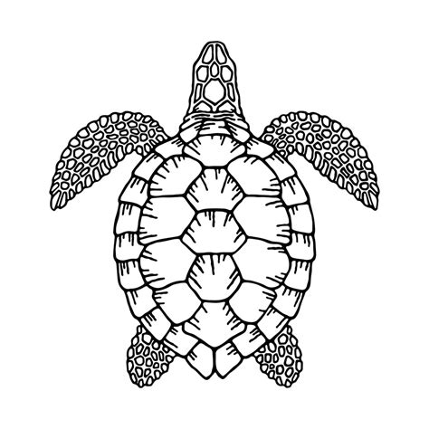 Résultat d’images pour Sea Turtle Shell Logo