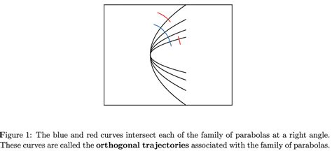 Real-Valued Function Graph に対する画像結果
