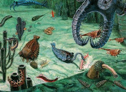Afbeeldingsresultaten voor Cambrian Explosion and Evolution