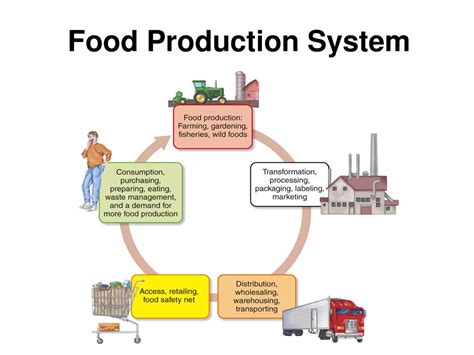 Image result for How Food Is Produced