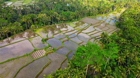 Image result for Image of a Small Village in a Deep Forest