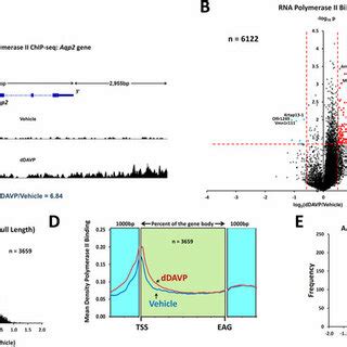 Image result for RNA Pol II ChIP-seq