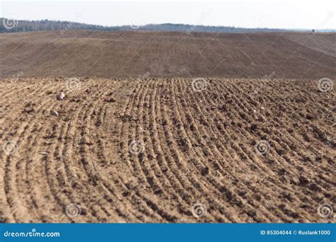 Arable Land in Spain-க்கான படிம முடிவு