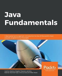 Toradh íomhá ar SQL and Java Fundamentals