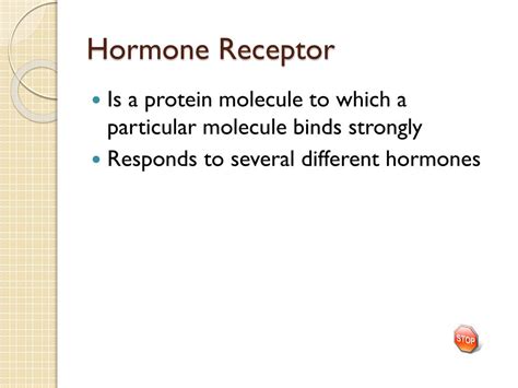 Hormone Receptor Model に対する画像結果