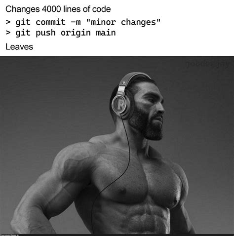 Image result for Guy Code Meme