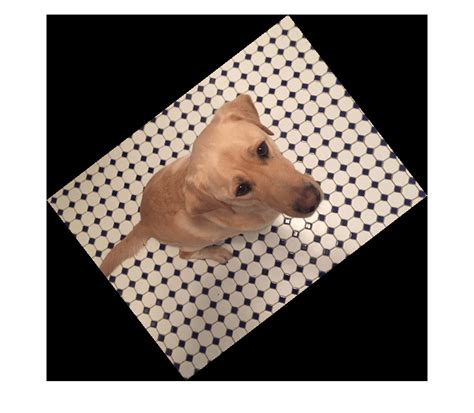 Image result for Image. Random 2D Function