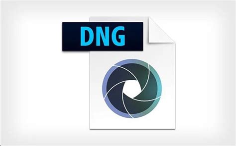 Open DNG File に対する画像結果