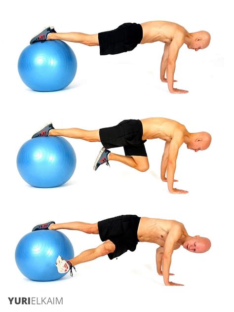 Image result for Exercise Ball Core Exercises