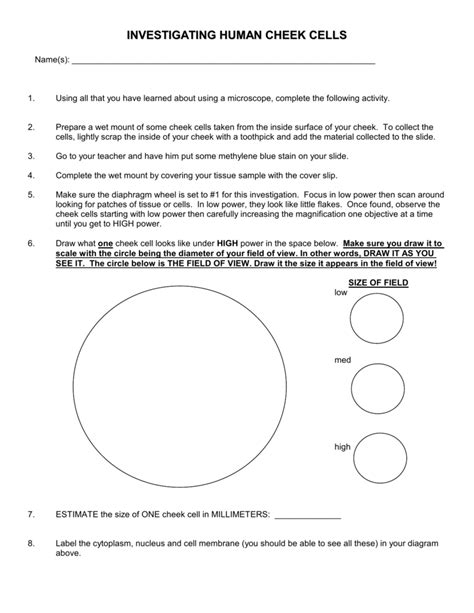 Human Cheek Cell Diagram Labeled Manual