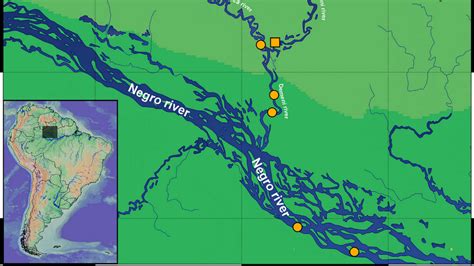 Toradh íomhá ar Amazon River Animals List