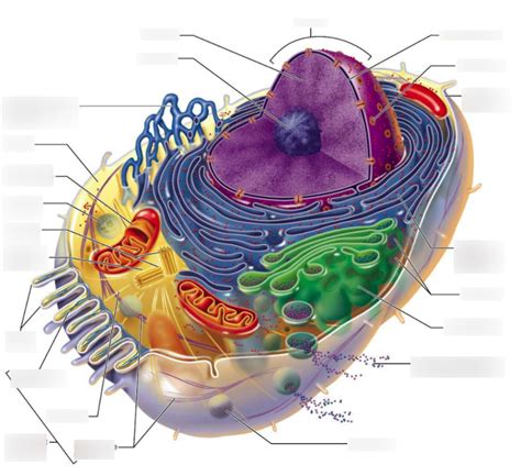 Toradh íomhá ar Lab Made Cell Structures