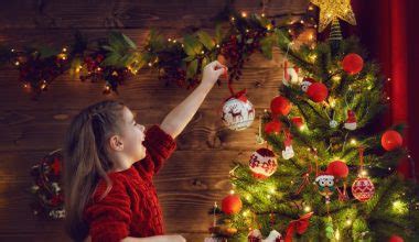 Toradh íomhá ar Homeland Security Colleges and Universities